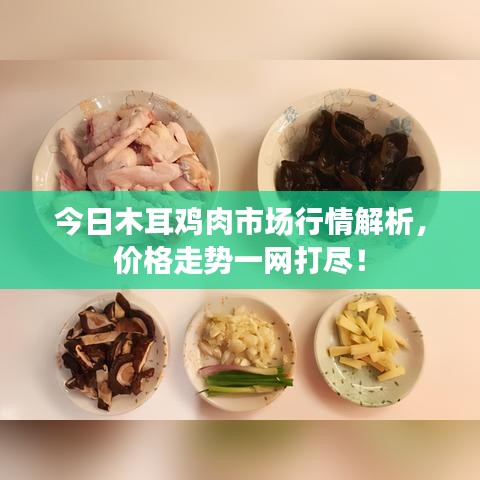 今日木耳鸡肉市场行情解析,价格走势一网打尽!