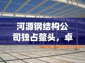河源钢结构公司独占鳌头,卓越品质铸就行业标杆