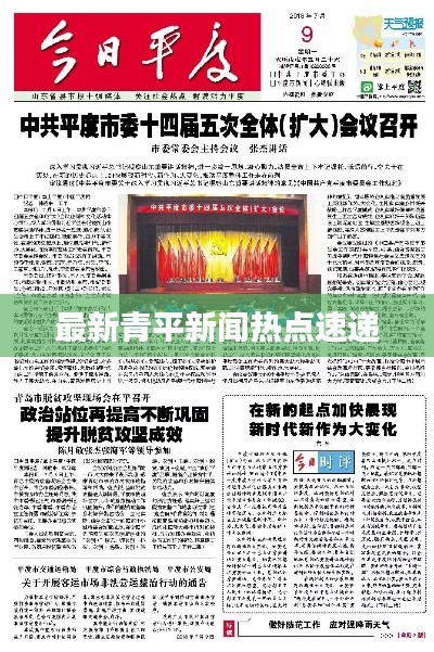 最新青平新闻热点速递