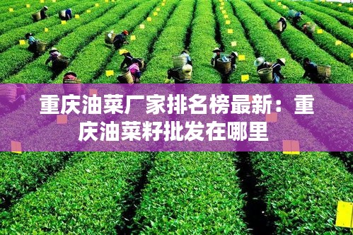 重庆油菜厂家排名榜最新:重庆油菜籽批发在哪里