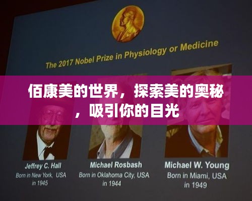 佰康美的世界,探索美的奥秘,吸引你的目光