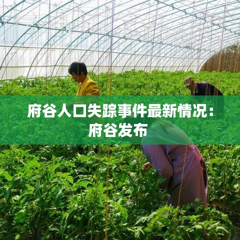 大雅君子 第2页
