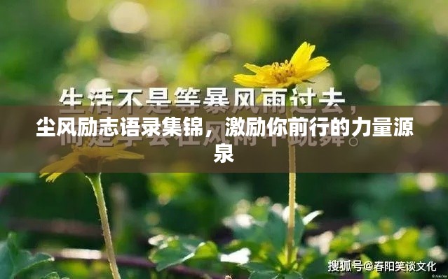 淡泊以明志，宁静以致远 第3页