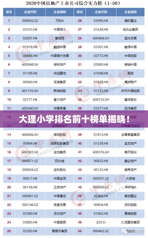 大理小学排名前十榜单揭晓!