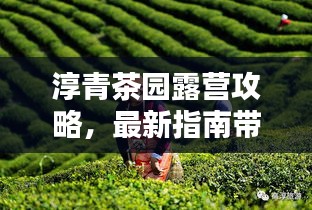 七嘴八张 第2页