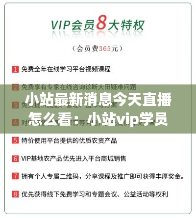 小站最新消息今天直播怎么看:小站vip学员登录平台