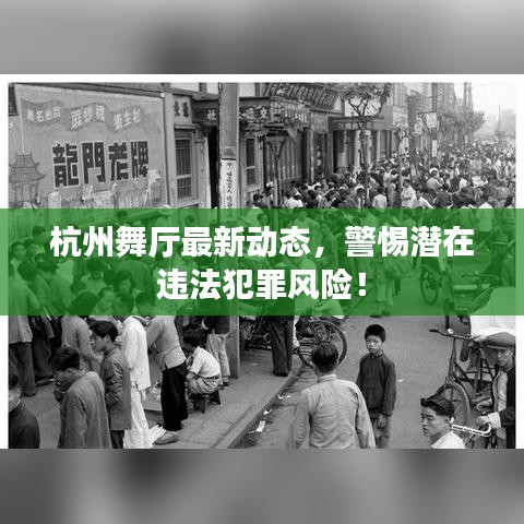杭州舞厅最新动态,警惕潜在违法犯罪风险!