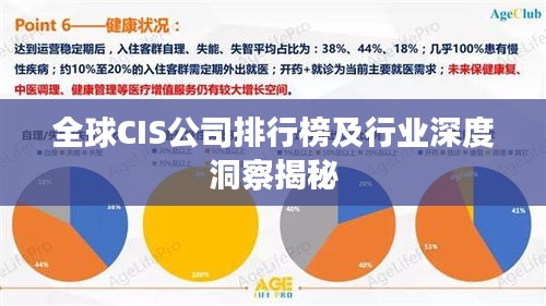 全球CIS公司排行榜及行业深度洞察揭秘