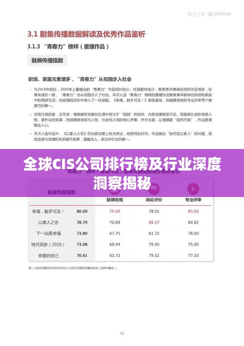 全球CIS公司排行榜及行业深度洞察揭秘