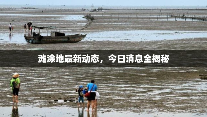 滩涂地最新动态,今日消息全揭秘