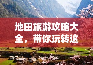 凤鸟不至 第3页