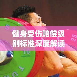 健身受伤赔偿级别标准深度解读,最新解析与指导