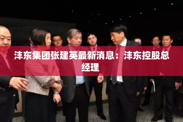 沣东集团张建英最新消息:沣东控股总经理