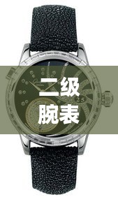 二级腕表排行榜最新款女士手表,时尚与精工完美融合,引领潮流之选