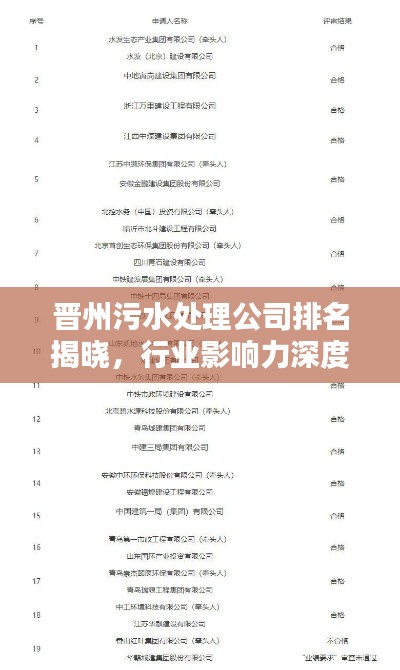 晋州污水处理公司排名揭晓,行业影响力深度解析