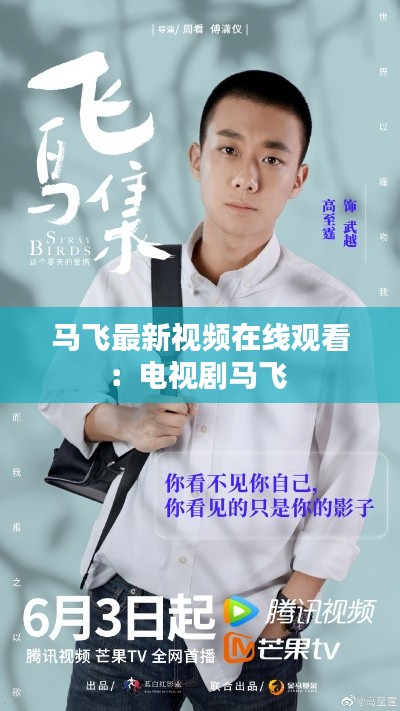 马飞最新视频在线观看:电视剧马飞