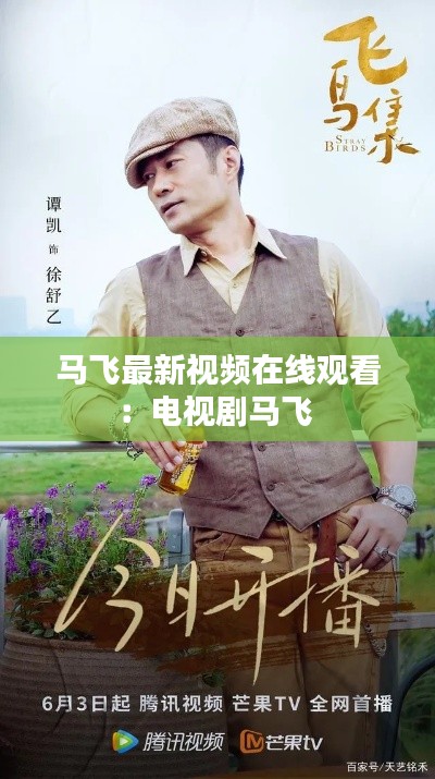 马飞最新视频在线观看:电视剧马飞