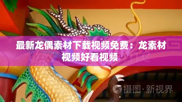 最新龙偶素材下载视频免费:龙素材视频好看视频