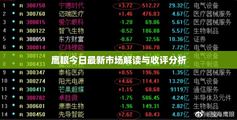 鹰眼今日最新市场解读与收评分析