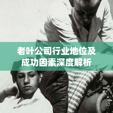 老叶公司行业地位及成功因素深度解析