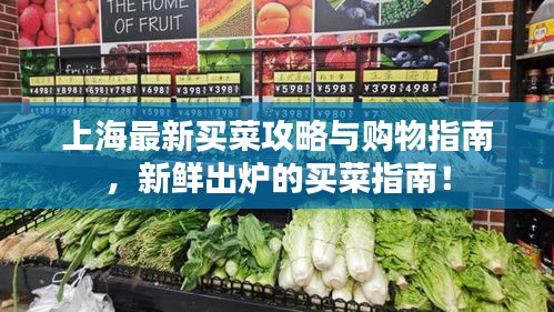 上海最新买菜攻略与购物指南,新鲜出炉的买菜指南!