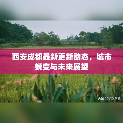 西安成都最新更新动态,城市蜕变与未来展望