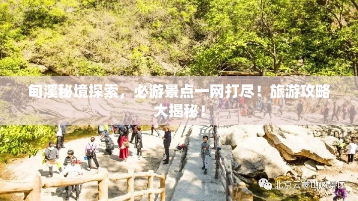 富贵有余 第3页
