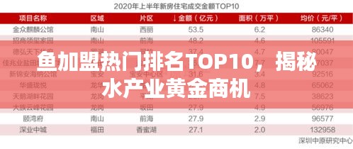 鱼加盟热门排名TOP10,揭秘水产业黄金商机