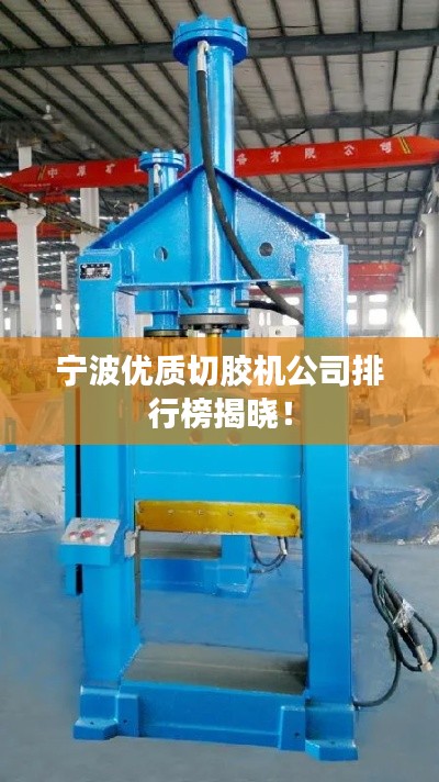 宁波优质切胶机公司排行榜揭晓!