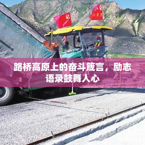 临危不惧 第3页