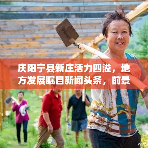 庆阳宁县新庄活力四溢,地方发展瞩目新闻头条,前景无限广阔