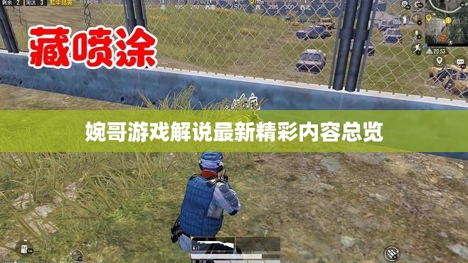 婉哥游戏解说最新精彩内容总览