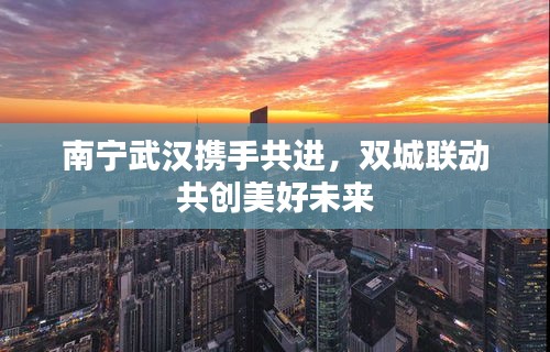 南宁武汉携手共进,双城联动共创美好未来