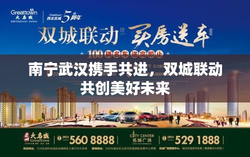 南宁武汉携手共进,双城联动共创美好未来