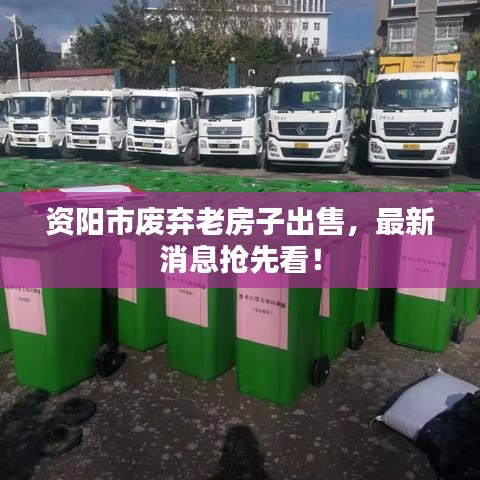 资阳市废弃老房子出售,最新消息抢先看!