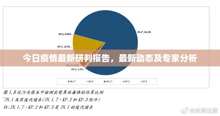 今日疫情最新研判报告,最新动态及专家分析
