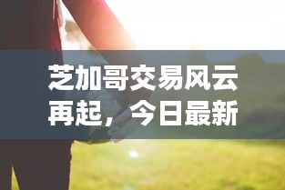芝加哥交易风云再起,今日最新交易动态揭秘