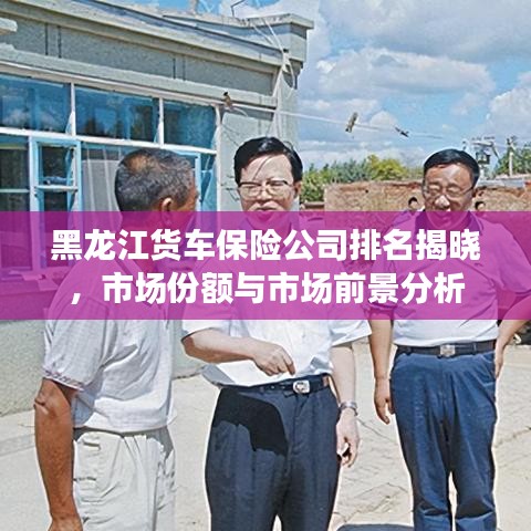 黑龙江货车保险公司排名揭晓,市场份额与市场前景分析