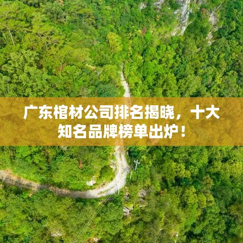 回眸最初 第2页