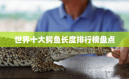 世界十大鳄鱼长度排行榜盘点