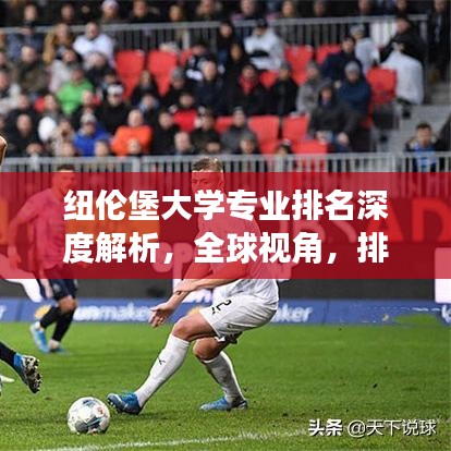 纽伦堡大学专业排名深度解析,全球视角,排名背后的真相!