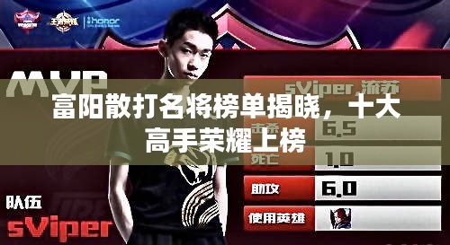 富阳散打名将榜单揭晓,十大高手荣耀上榜