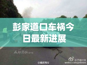 彭家道口车祸今日最新进展