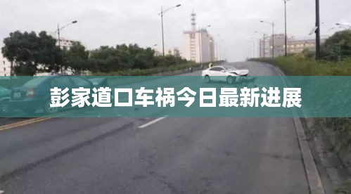彭家道口车祸今日最新进展