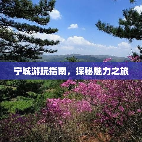 恋恋不舍 第3页