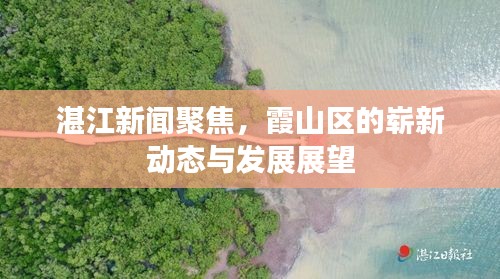 湛江新闻聚焦,霞山区的崭新动态与发展展望