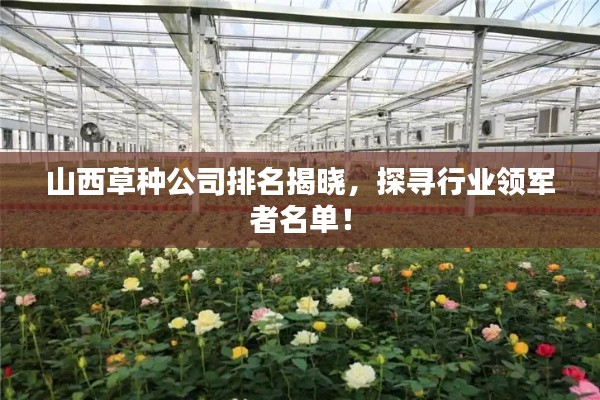 物以希为贵 第2页