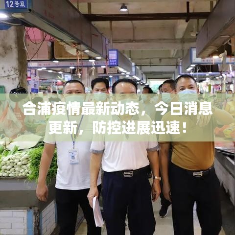 合浦疫情最新动态,今日消息更新,防控进展迅速!