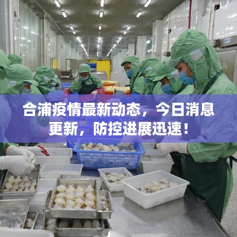 合浦疫情最新动态,今日消息更新,防控进展迅速!