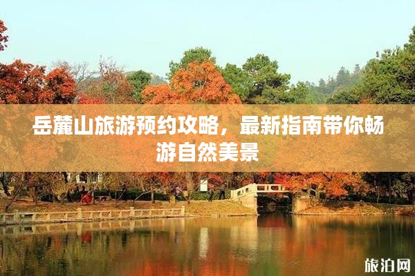 岳麓山旅游预约攻略,最新指南带你畅游自然美景